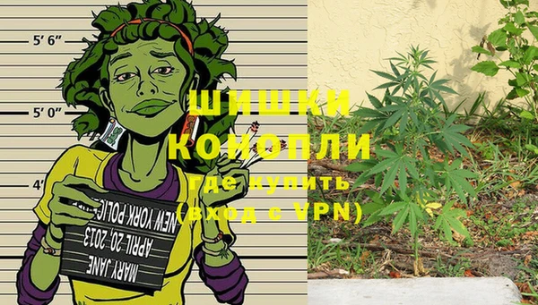 экстази Няндома